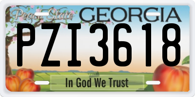 GA license plate PZI3618