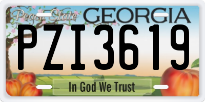 GA license plate PZI3619
