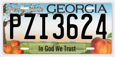 GA license plate PZI3624