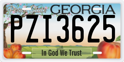 GA license plate PZI3625