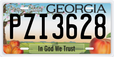 GA license plate PZI3628
