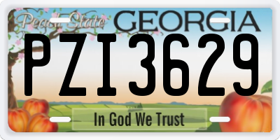 GA license plate PZI3629