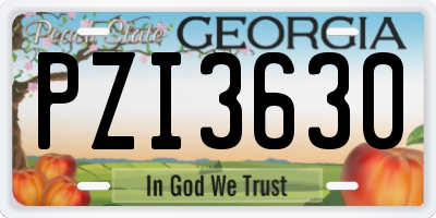GA license plate PZI3630