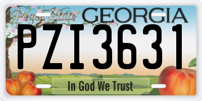 GA license plate PZI3631