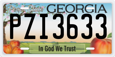 GA license plate PZI3633