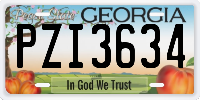 GA license plate PZI3634