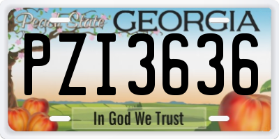 GA license plate PZI3636