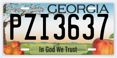 GA license plate PZI3637