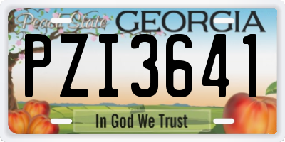 GA license plate PZI3641