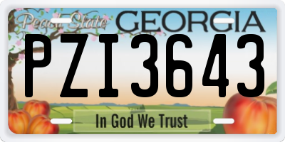 GA license plate PZI3643