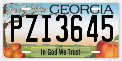 GA license plate PZI3645