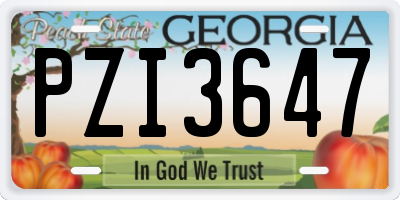GA license plate PZI3647
