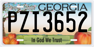GA license plate PZI3652