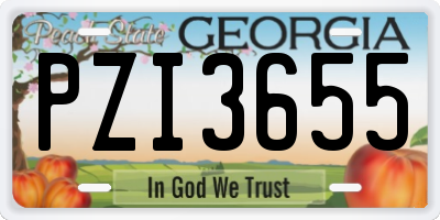 GA license plate PZI3655
