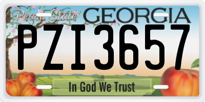 GA license plate PZI3657