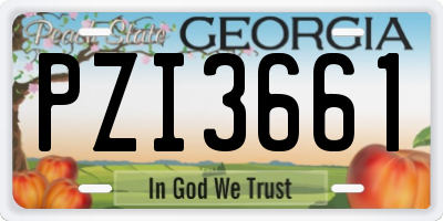 GA license plate PZI3661