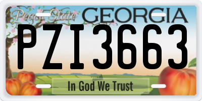 GA license plate PZI3663