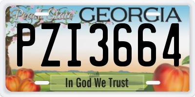 GA license plate PZI3664