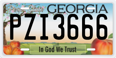 GA license plate PZI3666