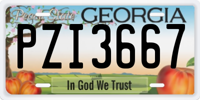 GA license plate PZI3667