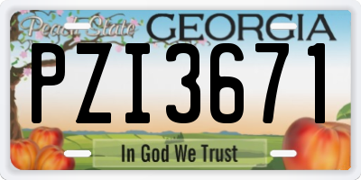 GA license plate PZI3671