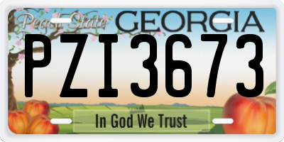 GA license plate PZI3673