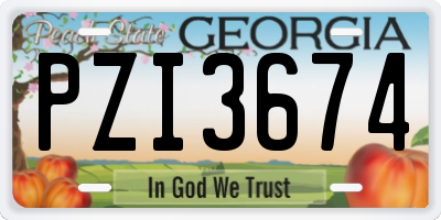 GA license plate PZI3674
