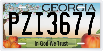 GA license plate PZI3677