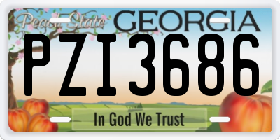 GA license plate PZI3686