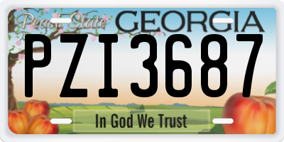 GA license plate PZI3687
