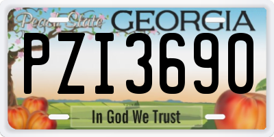 GA license plate PZI3690