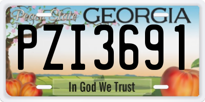 GA license plate PZI3691