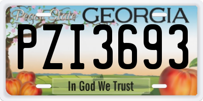 GA license plate PZI3693