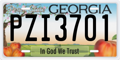 GA license plate PZI3701