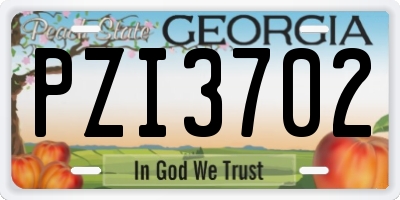 GA license plate PZI3702