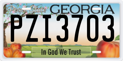 GA license plate PZI3703