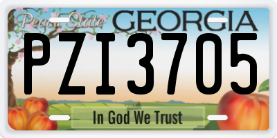 GA license plate PZI3705