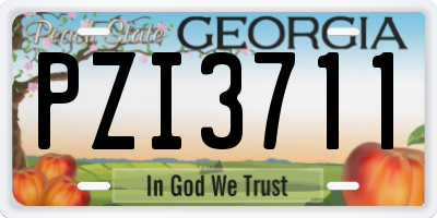 GA license plate PZI3711