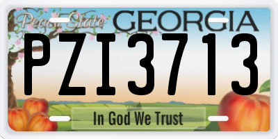 GA license plate PZI3713