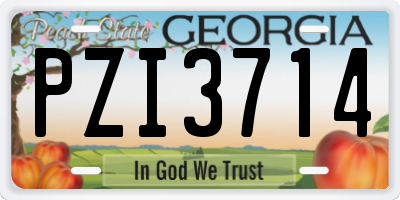 GA license plate PZI3714