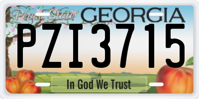 GA license plate PZI3715