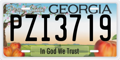 GA license plate PZI3719