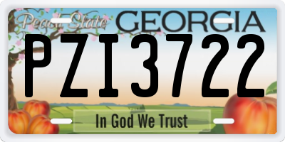 GA license plate PZI3722