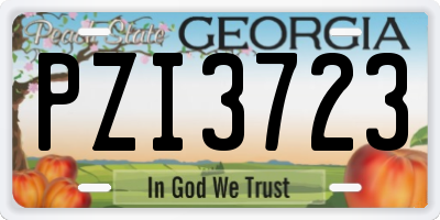 GA license plate PZI3723