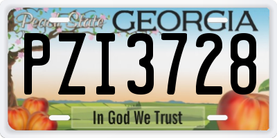 GA license plate PZI3728