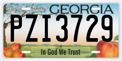 GA license plate PZI3729