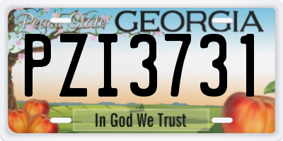 GA license plate PZI3731