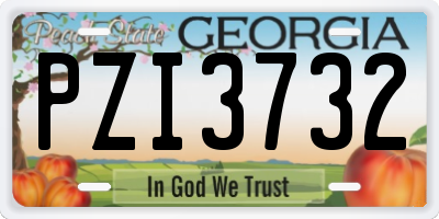 GA license plate PZI3732