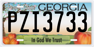 GA license plate PZI3733