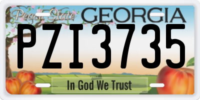 GA license plate PZI3735